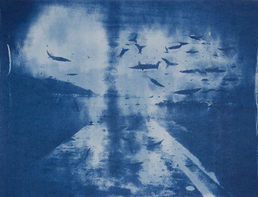 DuBleuauBleu06